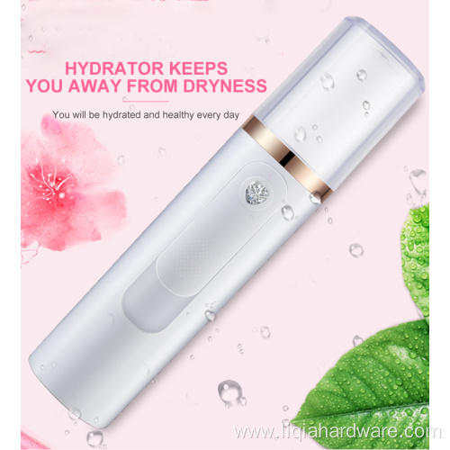 Portable Handy Mini Nano Mist Vapeur Facial Steamer